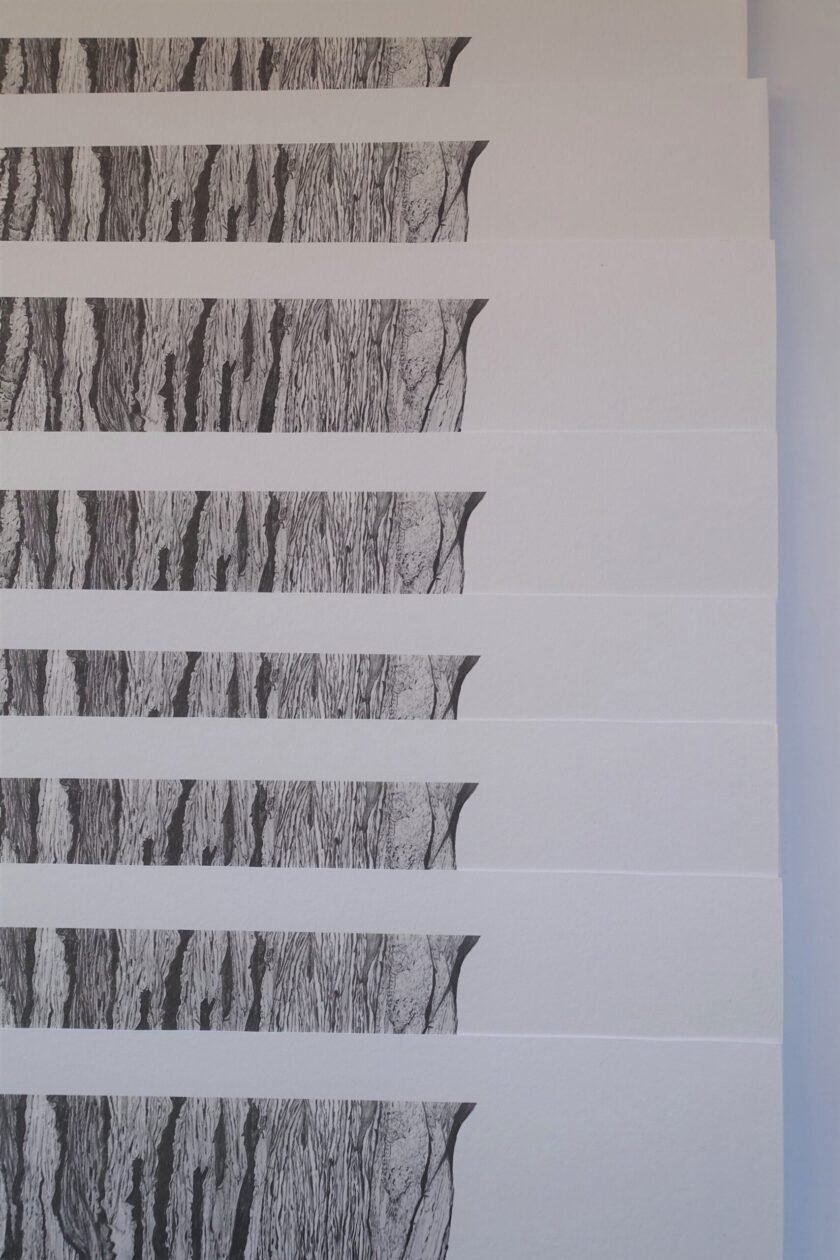 Carol Healy Solastalgia print detail signature-Nua-Collective