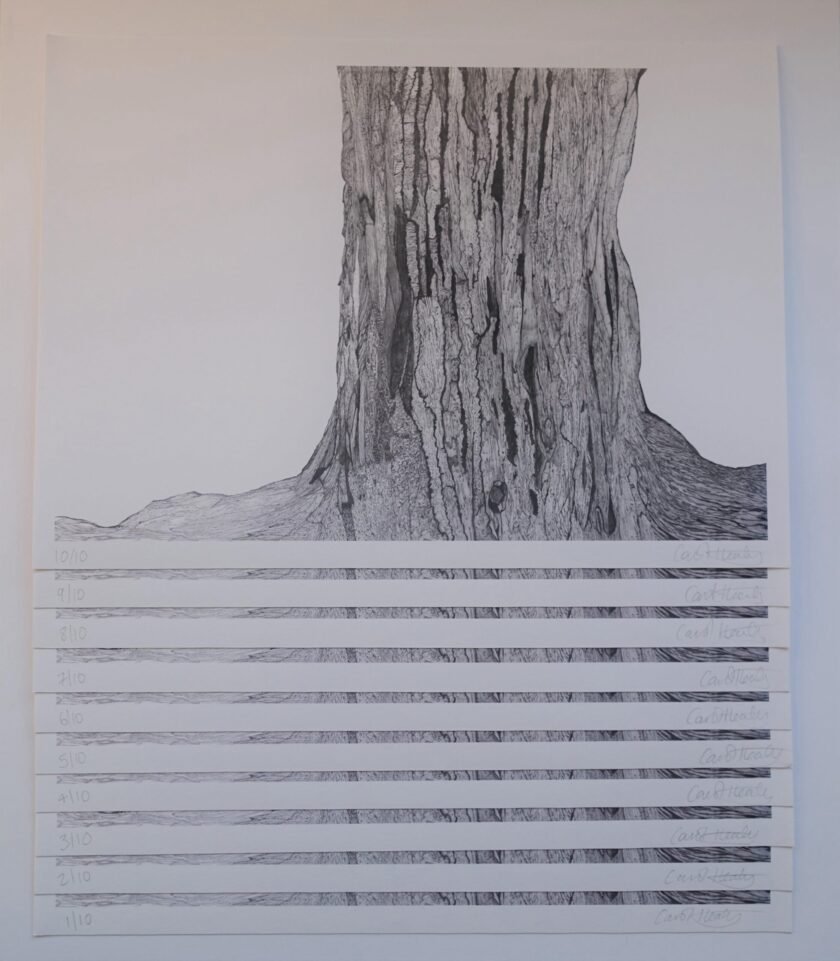 Carol Healy Solastalgia print detail signature-Nua-Collective