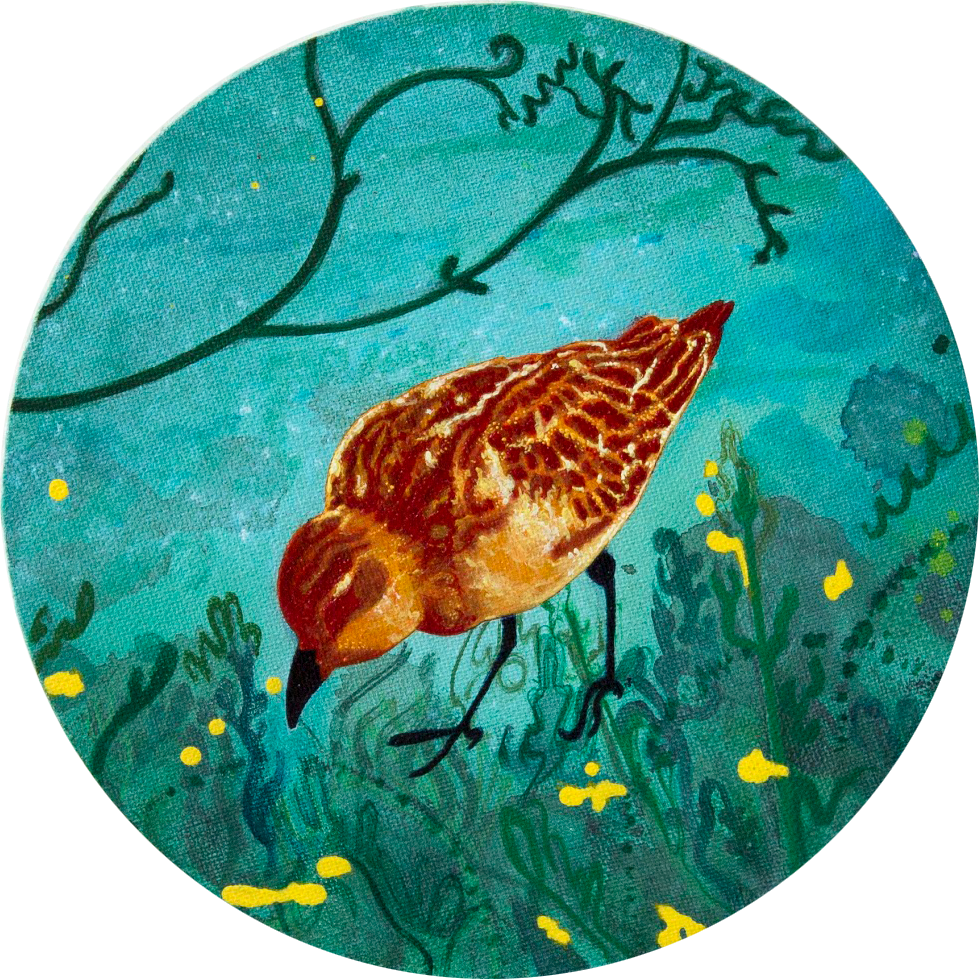 Nua Collective - Artist - Katrina Tracuma - Little stint, acrylic, ink and oil on canvas, 20cm in diameter, 2019 (Detail)