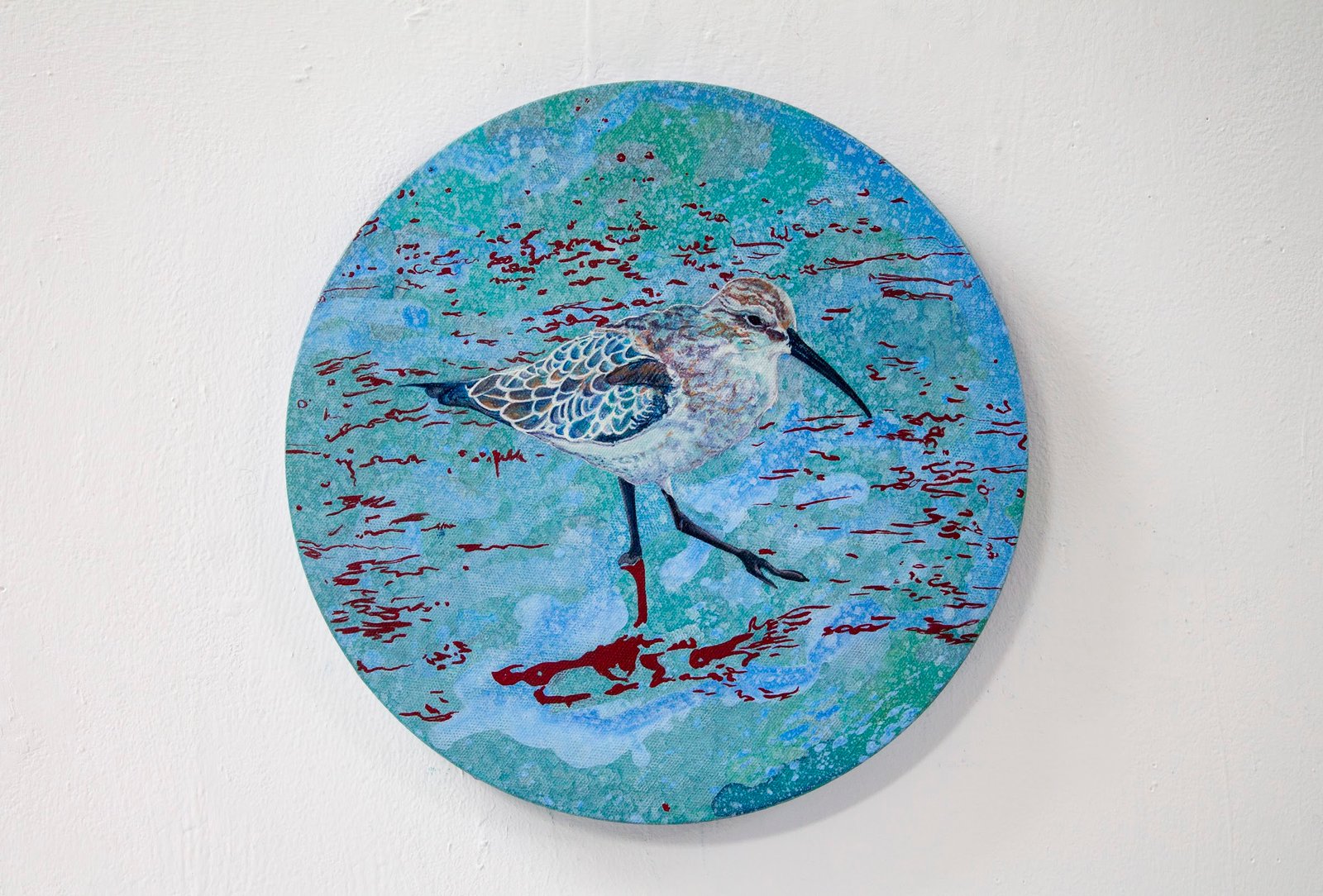 Nua Collective - Artist - Katrina Tracuma - Curlew sandpiper, acrylic, ink and oil on canvas, 30cm in diameter, 2019