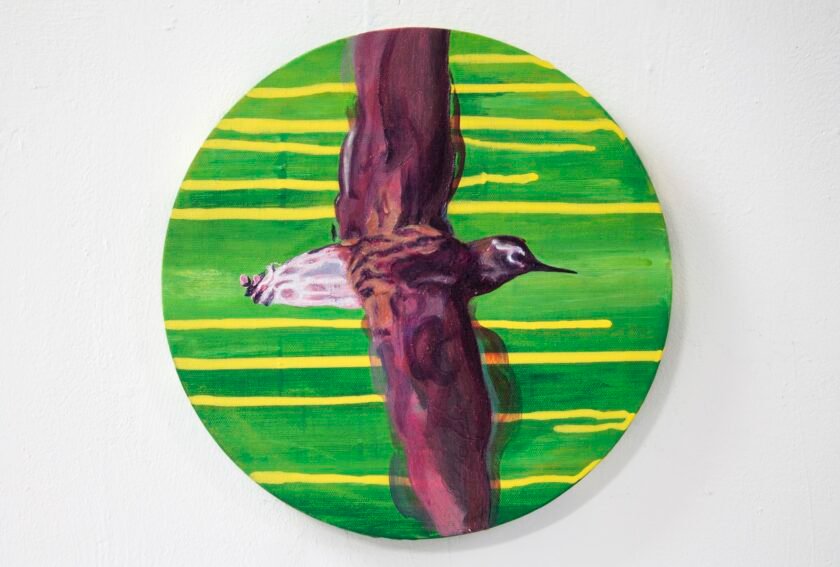 Nua Collective - Artist - Katrina Tracuma - Green sandpiper, acrylic, ink and oil on canvas, 30cm in diameter, 2019