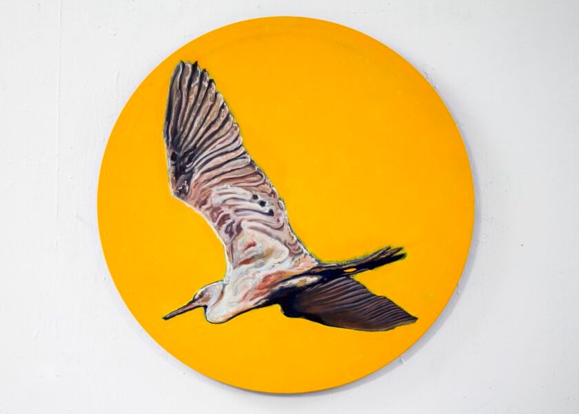 Nua Collective - Artist - Katrina Tracuma - Little egret, acrylic, ink, and oil on canvas, 61cm in diameter, 2019