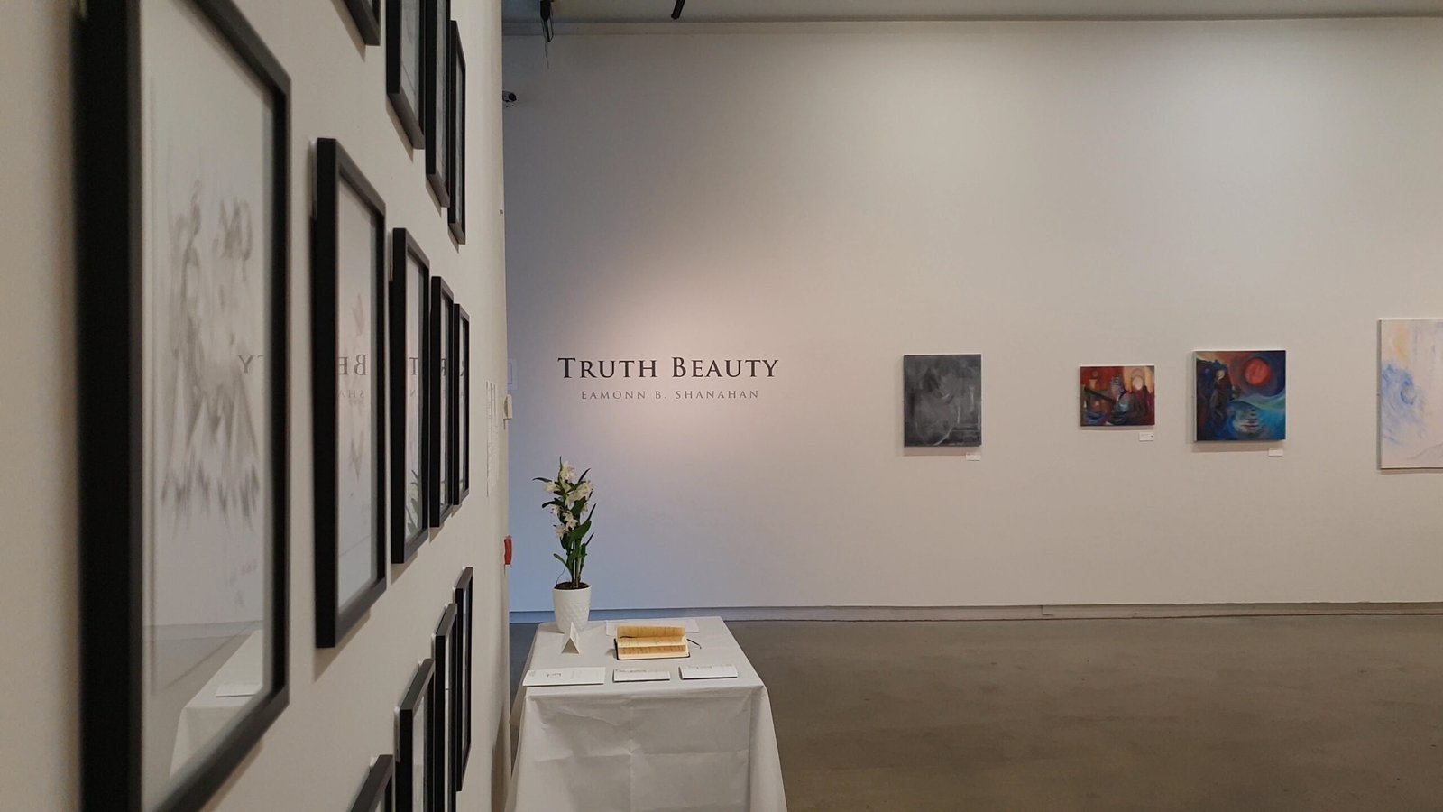 Truth Beauty Still - Eamonn B Shanahan - Nua Collective - Artist