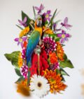 The Parrot's Throne - Caoimhe Heaney - Nua Collective - 2022