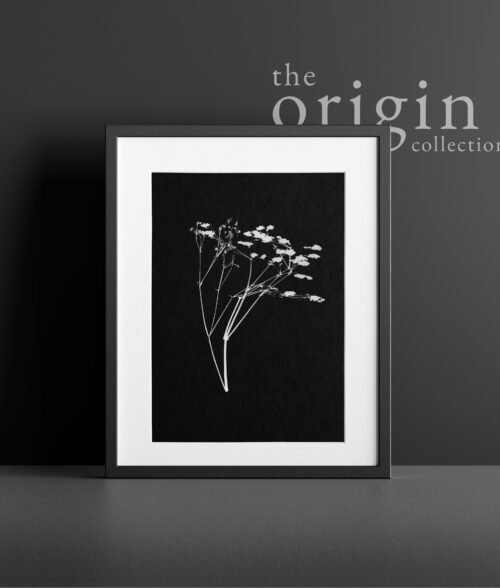 The Origin Collection - Nua Collective - 2022 - Visual Arts Collective - Emily Esdale