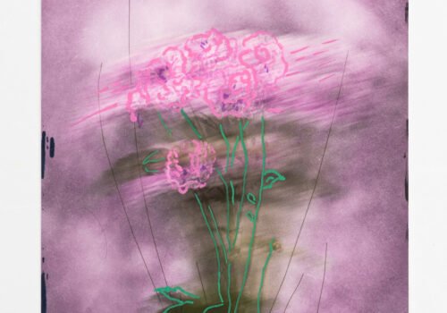 Caoimhe-Heaney-1-IMG_7705-2 Caoimhe-Heaney-1-IMG_7705-2