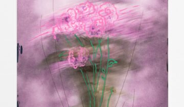 Exploring the beauty of the breakdown