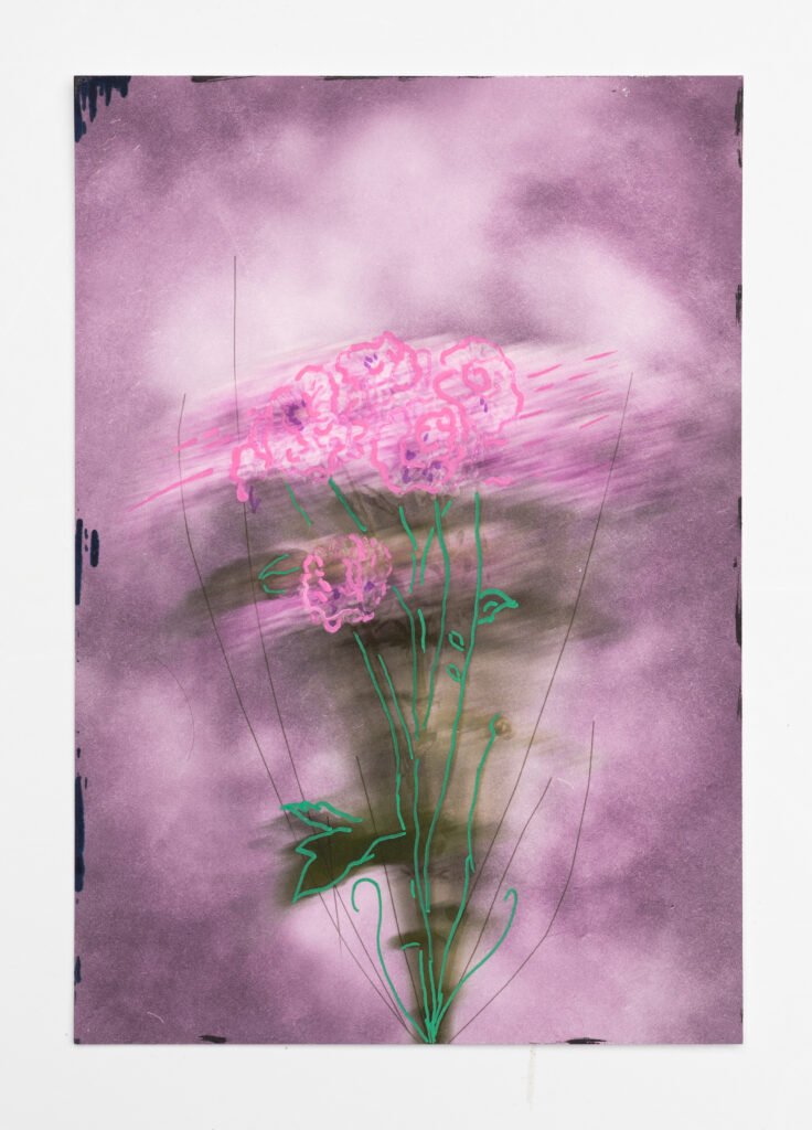 Caoimhe Heaney explores the beauty of the breakdown—how change, even when painful, can open space for growth and new meaning. Her layered photomontages hold imperfection gently, finding quiet strength in vulnerability and revealing the unseen beauty and fragility that emerges through transformation.