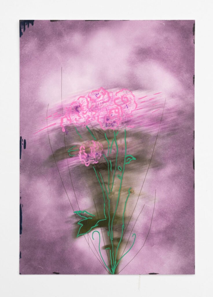 Caoimhe Heaney explores the beauty of the breakdown—how change, even when painful, can open space for growth and new meaning. Her layered photomontages hold imperfection gently, finding quiet strength in vulnerability and revealing the unseen beauty and fragility that emerges through transformation.