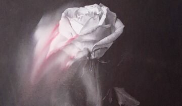 Where Beauty and Sorrow Are Inseparable