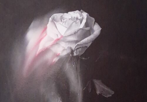 caoimhe-heaney-rose-study-mixed-media detail caoimhe-heaney-rose-study-mixed-media detail