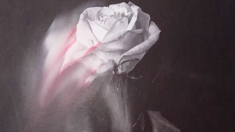 Where Beauty and Sorrow Are Inseparable