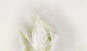 Encouraging Creative Parameters