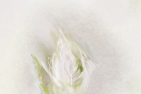 Earth Study I, a pale abstract digital painting with soft green and earth-toned marks inspired by white flowers.