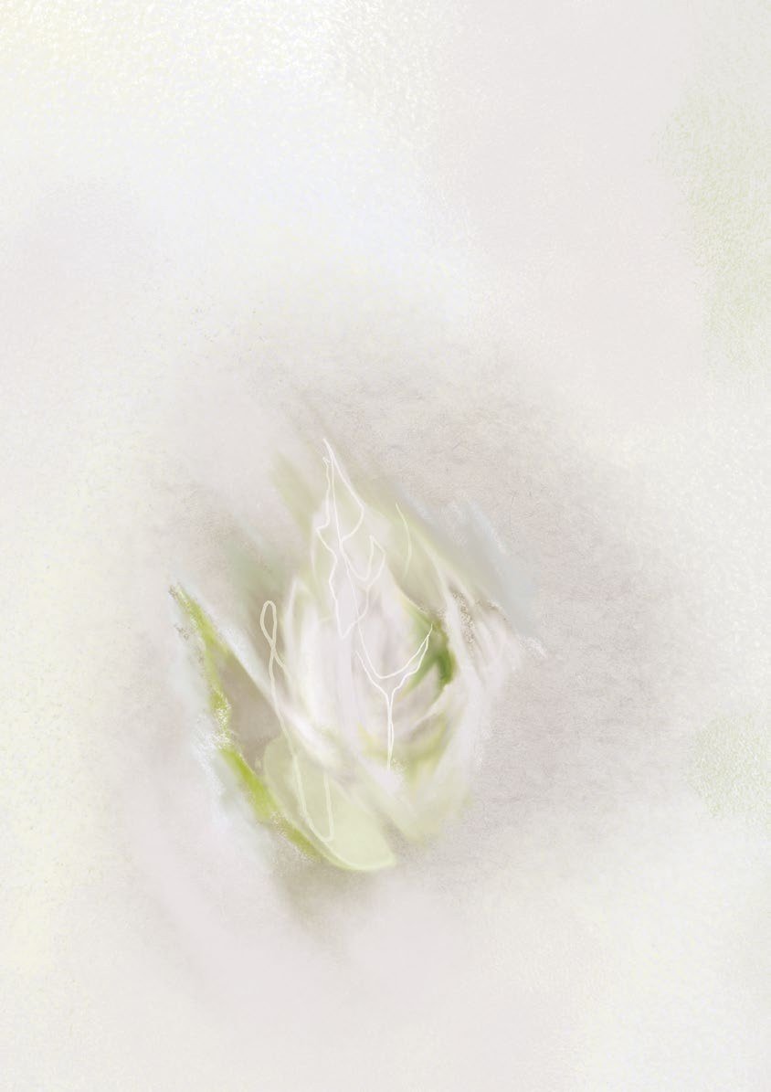 Earth Study I, a pale abstract digital painting with soft green and earth-toned marks inspired by white flowers.