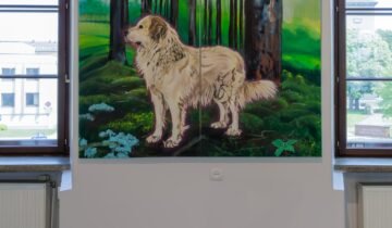 Does the dog die?