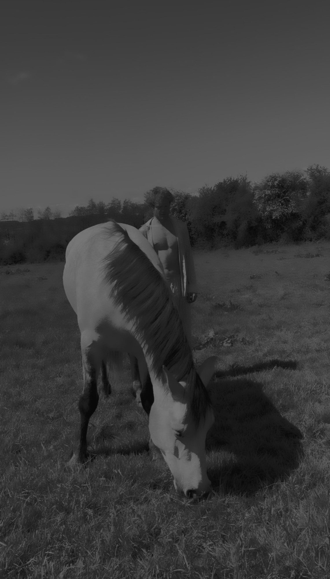 A horse grazing in a darkened black-and-white film still.