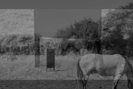A horse in a field overlaid with fragmented monochrome landscape imagery.